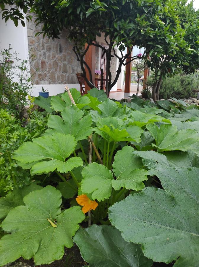 Holiday Home Mennulita 리파리 외부 사진