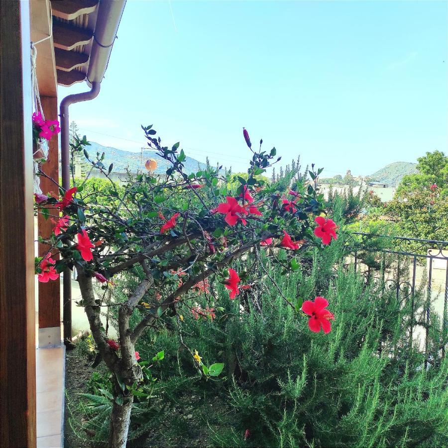 Holiday Home Mennulita 리파리 외부 사진