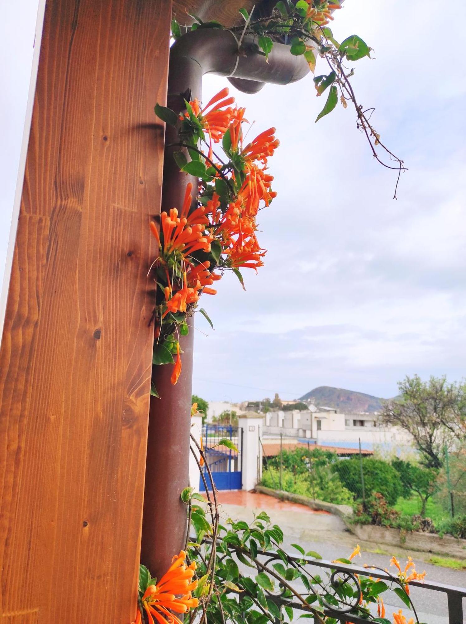Holiday Home Mennulita 리파리 외부 사진